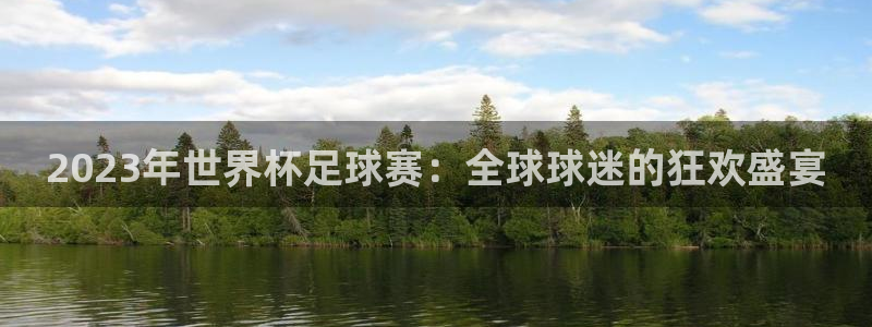 2023年世界杯足球赛：全球球迷的狂欢盛宴