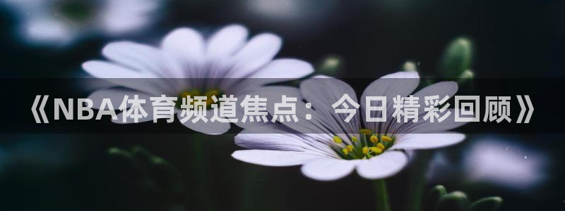 《NBA体育频道焦点：今日精彩回顾》