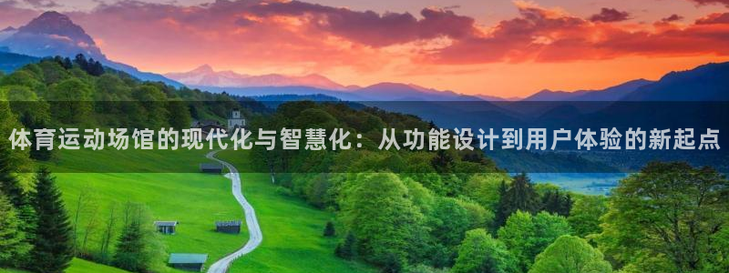 体育运动场馆的现代化与智慧化：从功能设计到用户体验的新起点