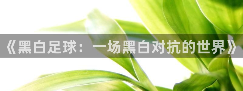 《黑白足球：一场黑白对抗的世界》