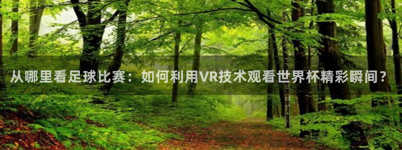 从哪里看足球比赛：如何利用VR技术观看世界杯精彩瞬间？