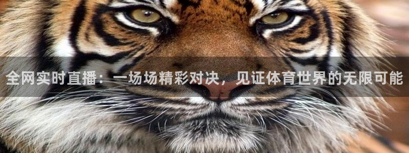 全网实时直播：一场场精彩对决，见证体育世界的无限可能