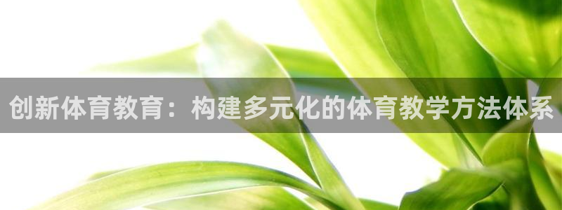 创新体育教育：构建多元化的体育教学方法体系