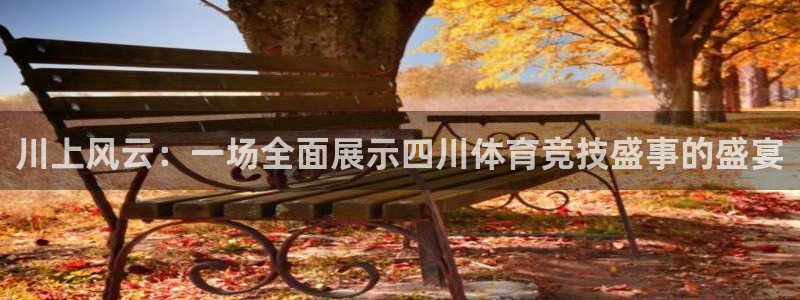 川上风云：一场全面展示四川体育竞技盛事的盛宴
