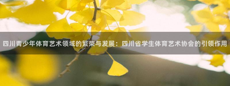 四川青少年体育艺术领域的繁荣与发展：四川省学生体育艺术协会的引领作用
